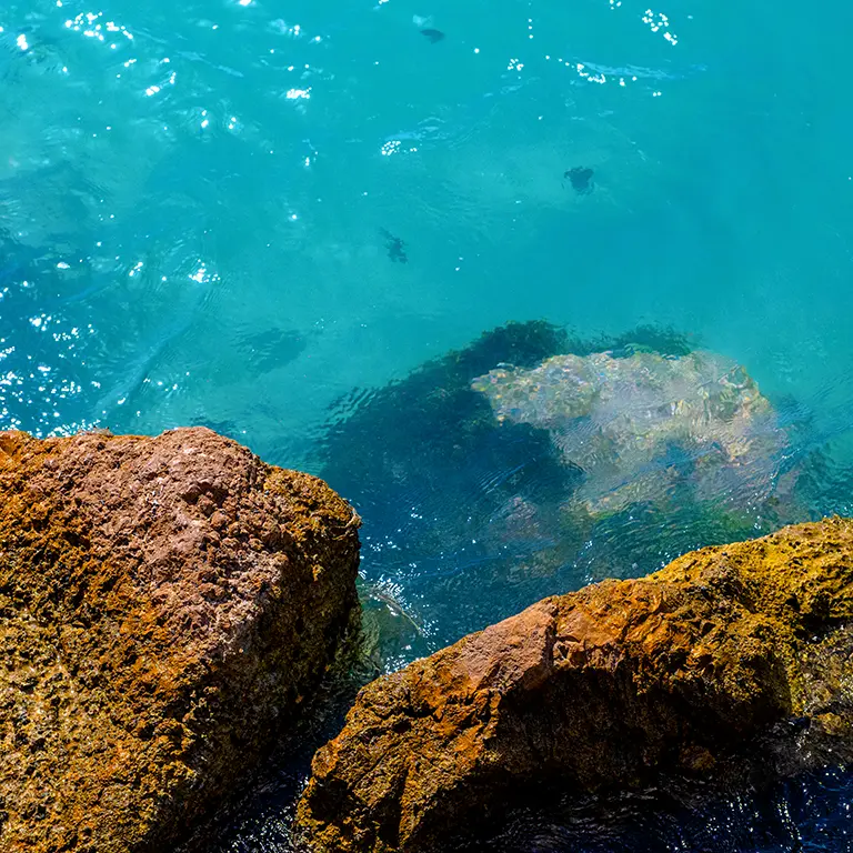 Bliss Experience Beauty