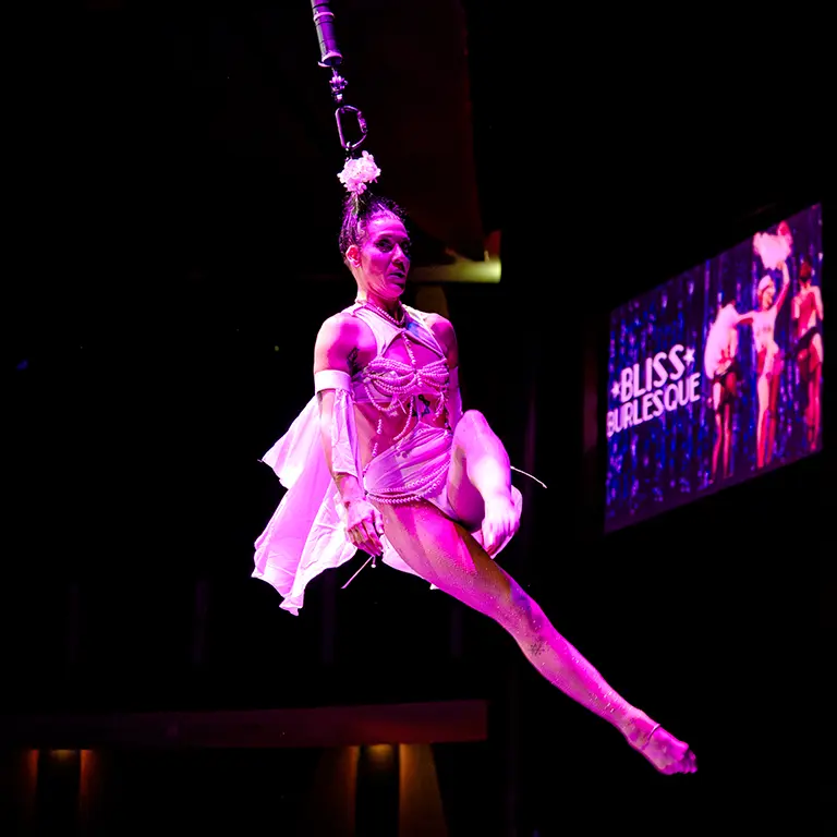 Bliss Experience Entertainment