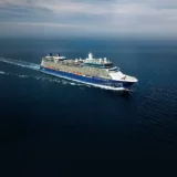 Celebrity Silhouette