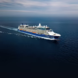 Celebrity Silhouette