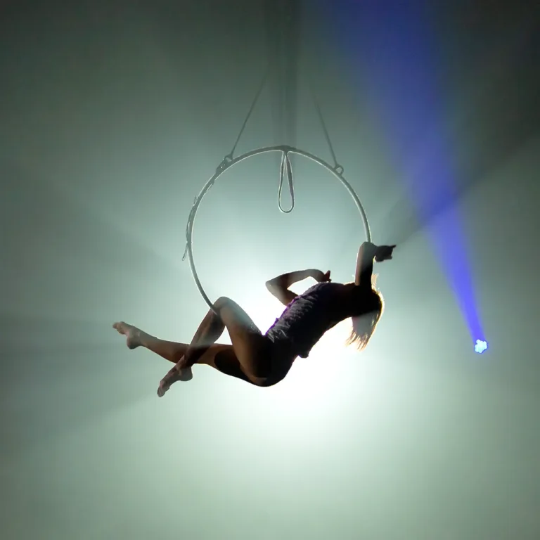 Aerial Light Shows